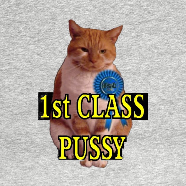 1st class pussy by Stiffmiddlefinger